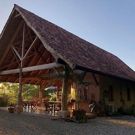 Puri Mas Osa Eco-Retreat Villa Barrigones Buitenkant foto