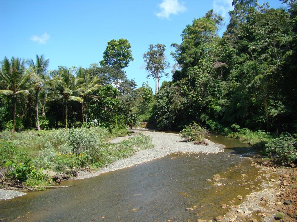 Puri Mas Osa Eco-Retreat Villa Barrigones Buitenkant foto