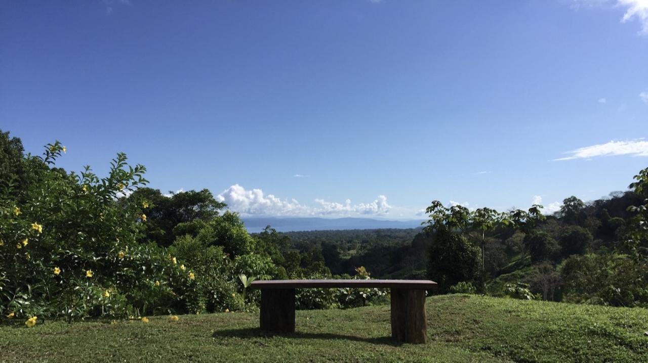 Puri Mas Osa Eco-Retreat Villa Barrigones Buitenkant foto